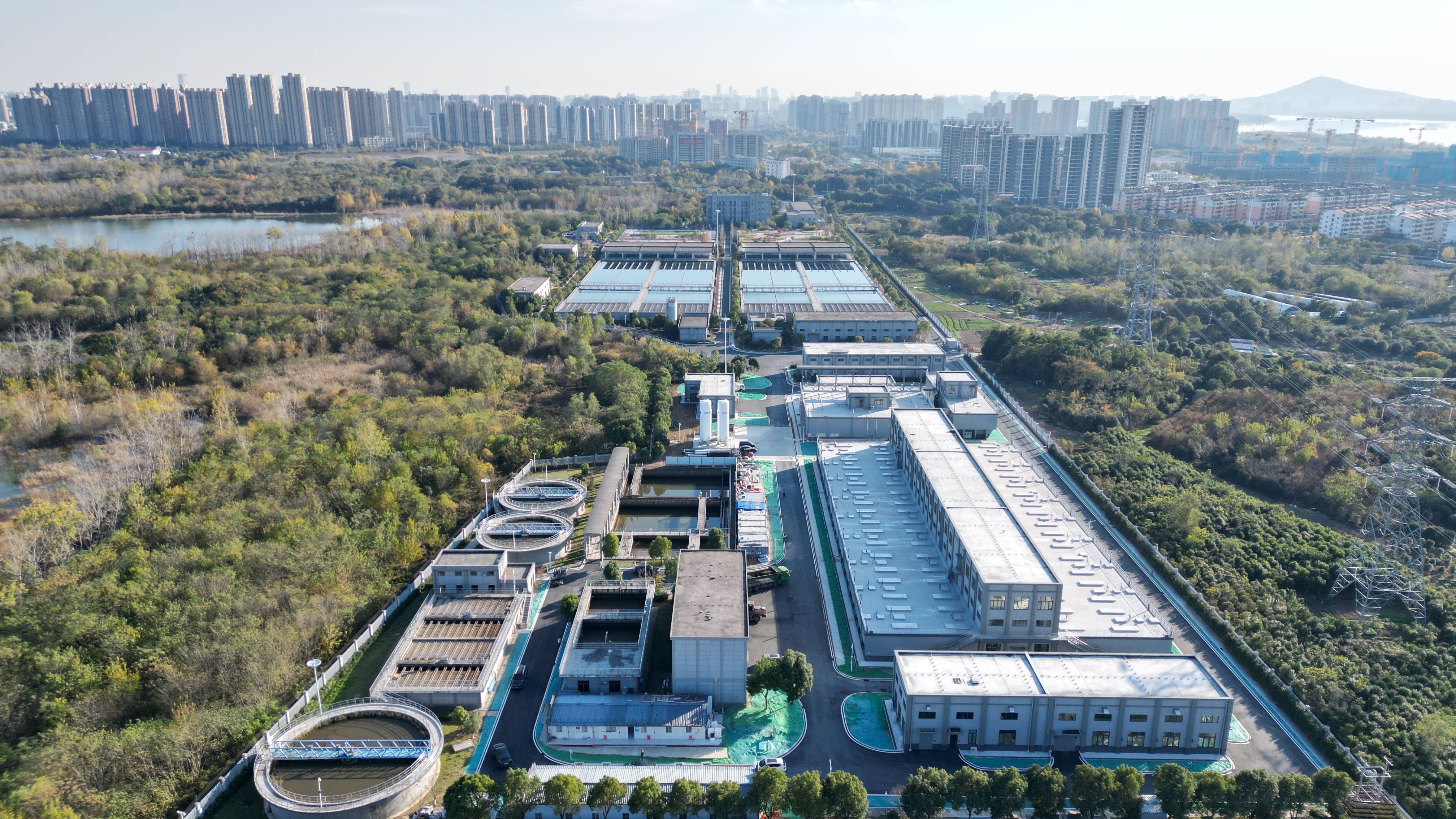 新余市合肥专业企业价值增长(合肥市重点企业产业目录)