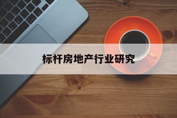 新余市标杆房地产行业研究(房地产领域的标杆人物)