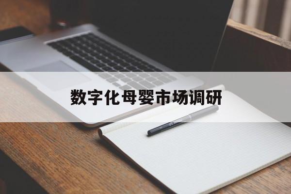 新余市数字化母婴市场调研(数字化母婴市场调研报告)
